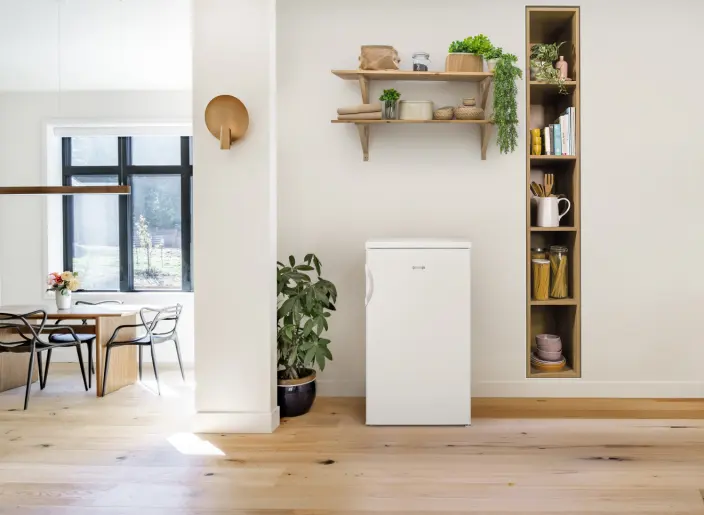 Kühlschrank GORENJE R492PW – Bild 3